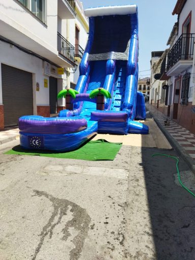 PALMERAS PEQUEÑO